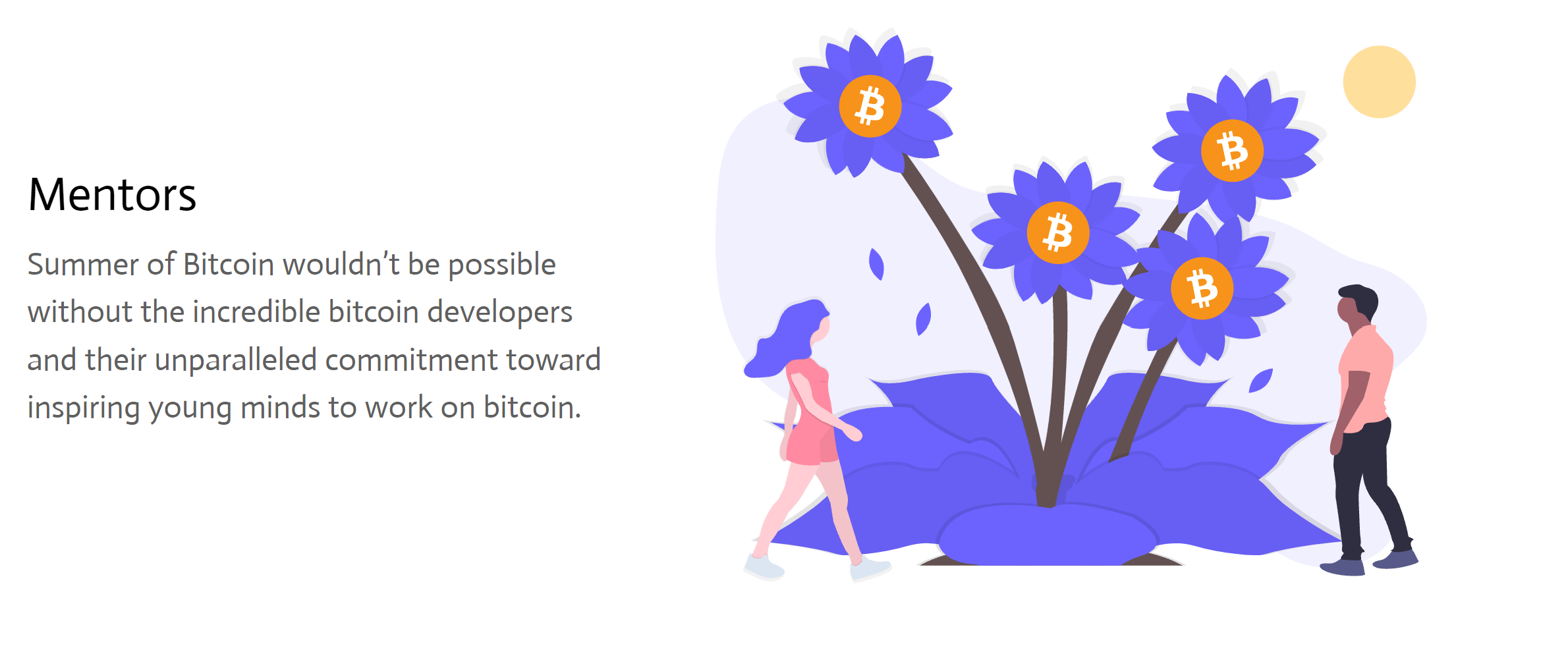 Summer of Bitcoin Mentors