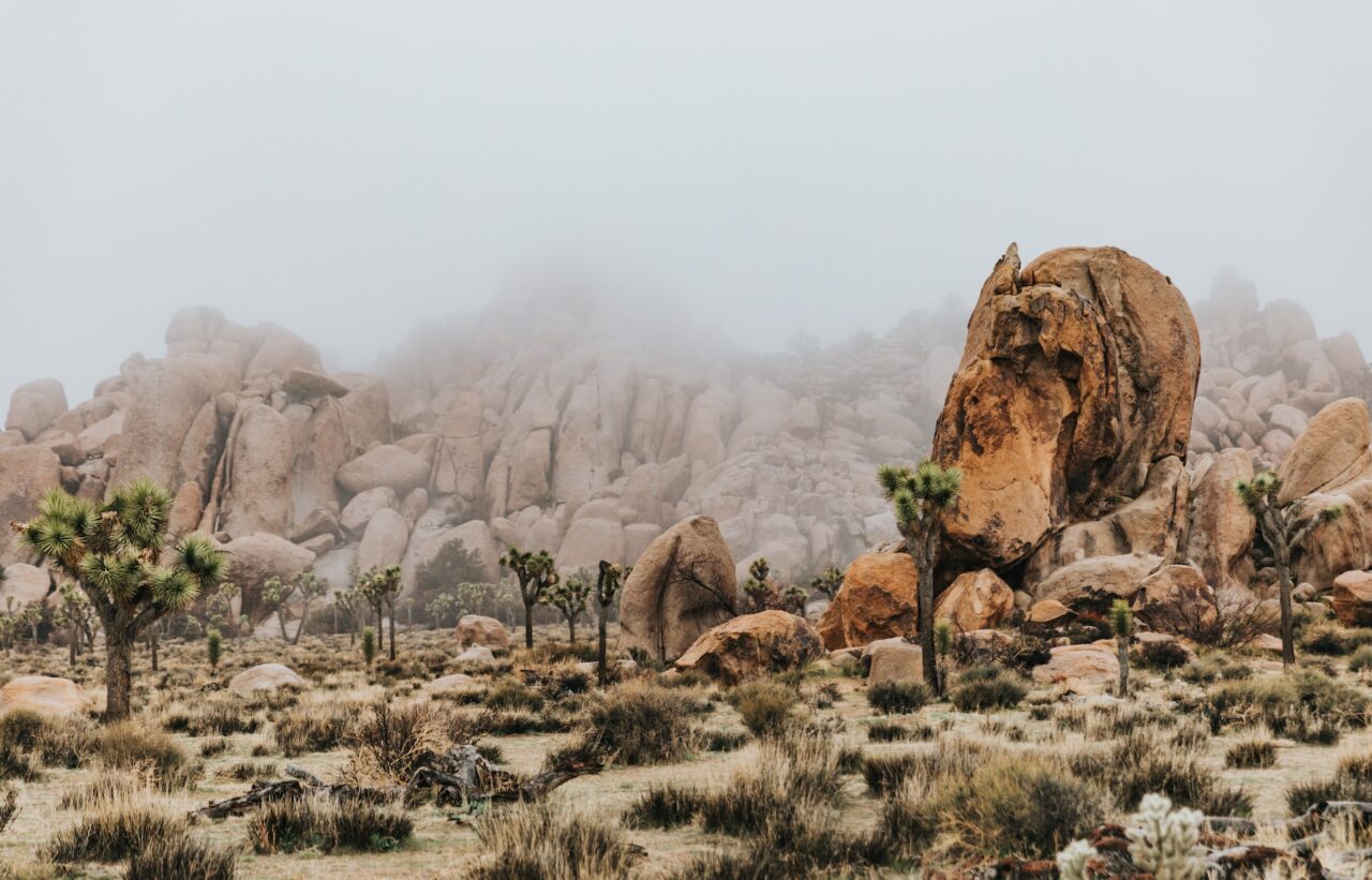 Arizona Desert RV Park