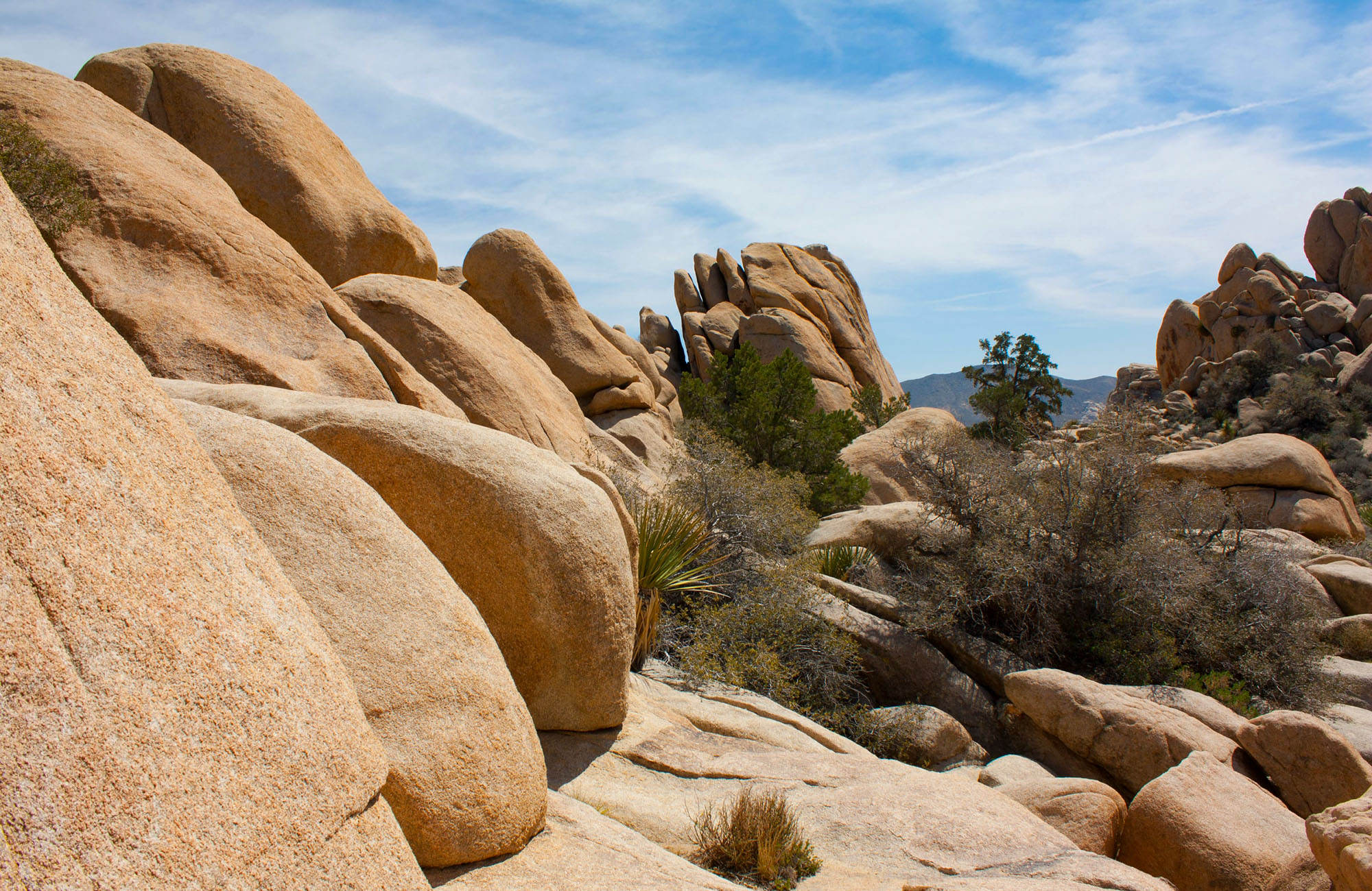 Valley View Arizona Desert Landscape