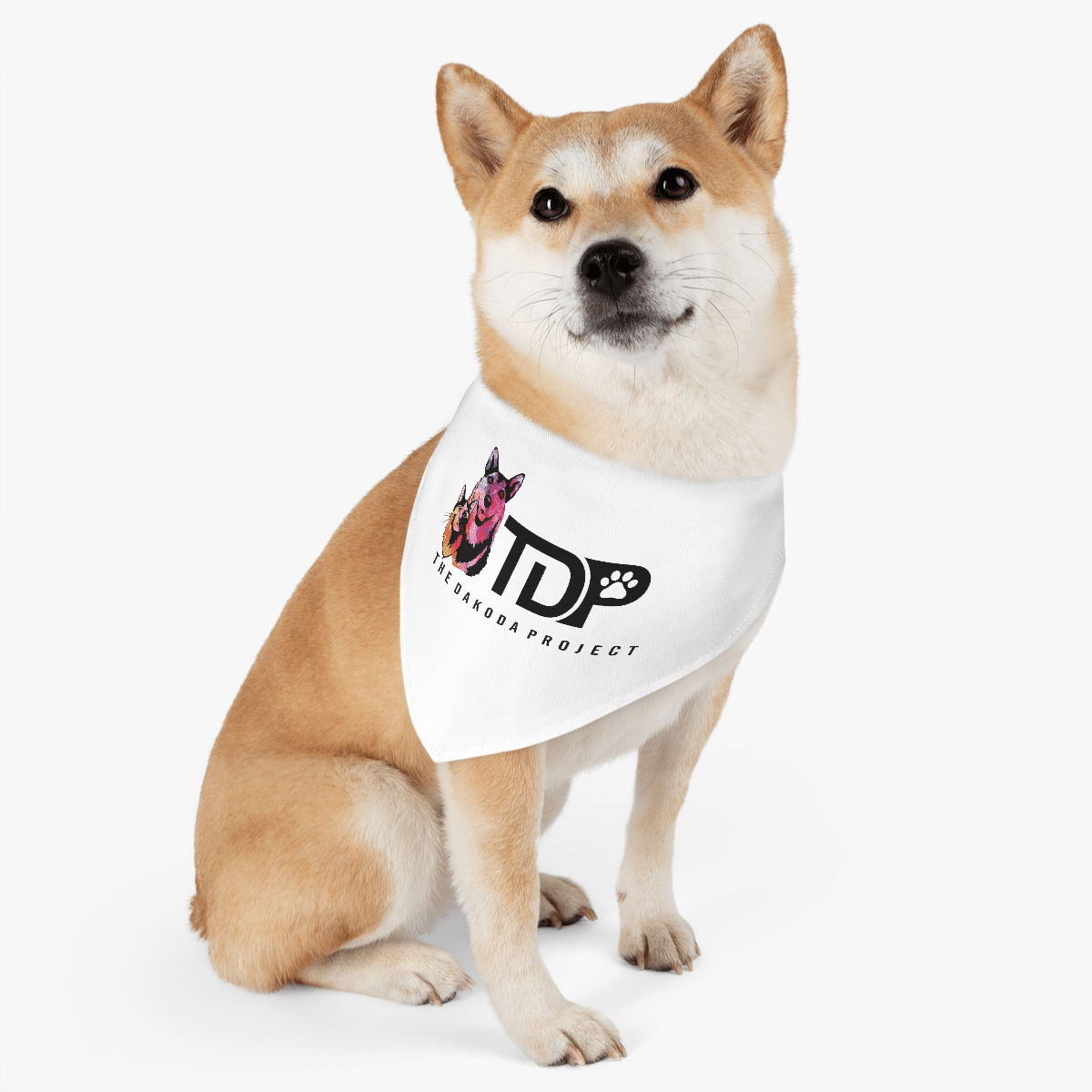 www.dakodaproject.org favicon