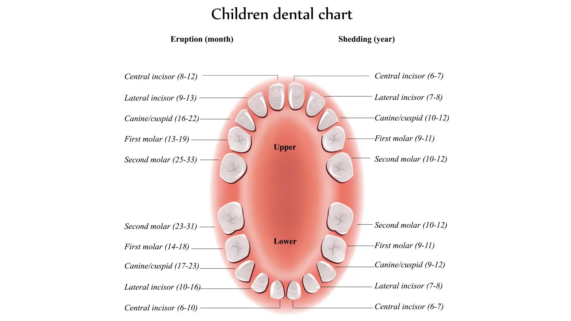 Advanced Dental Singapore Children's Dentistry
