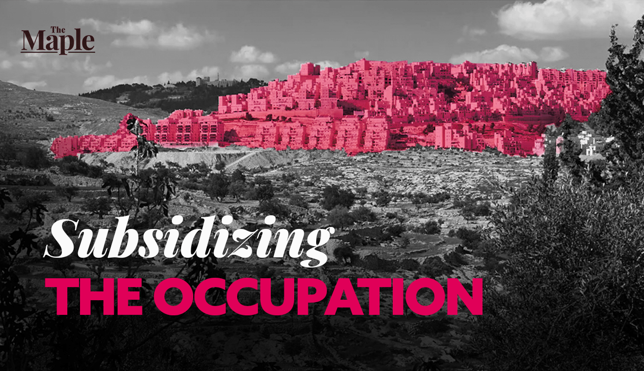 www.subsidizingtheoccupation.ca