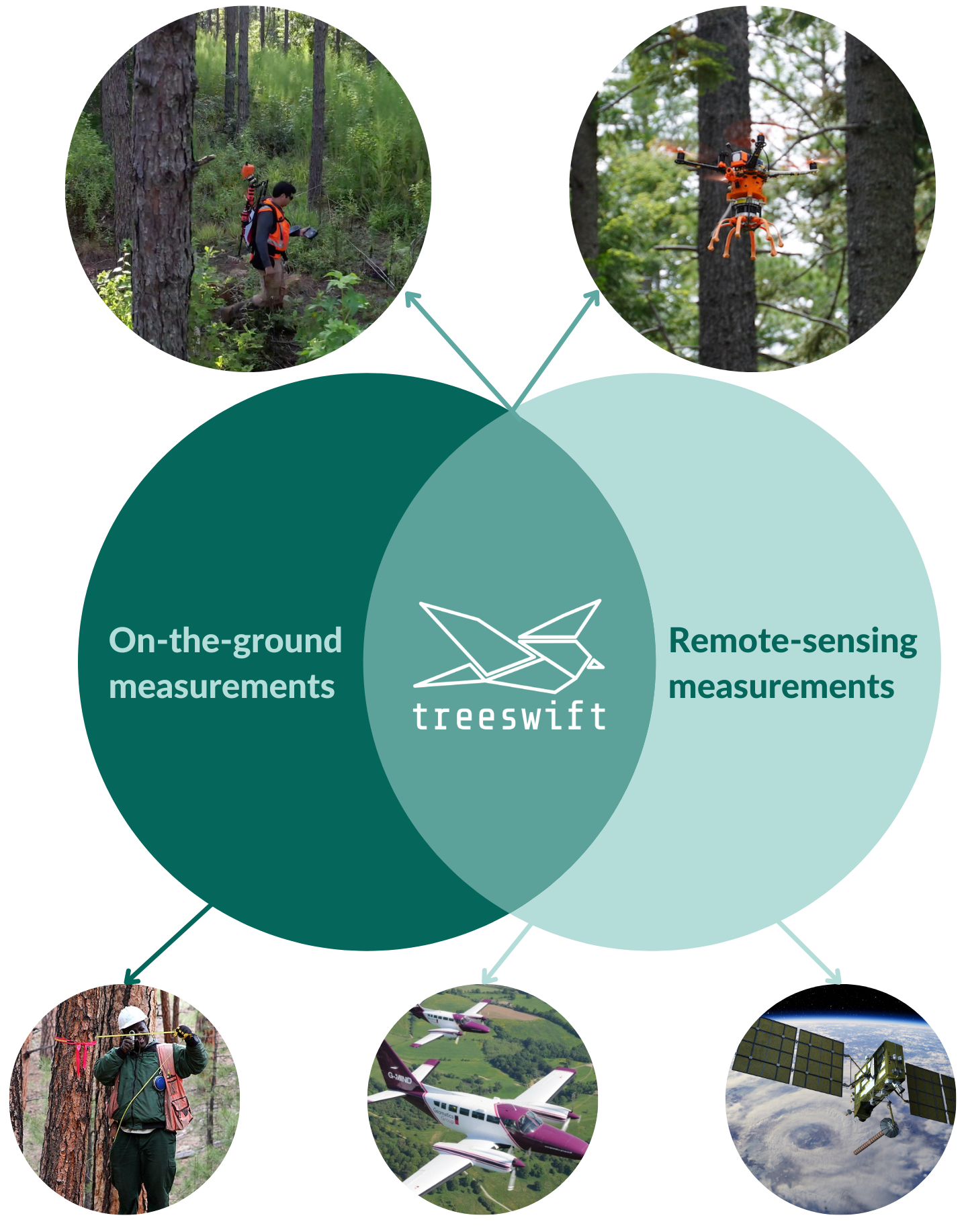 Treeswift - made with softr.io